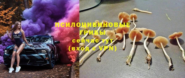 герыч Белокуриха